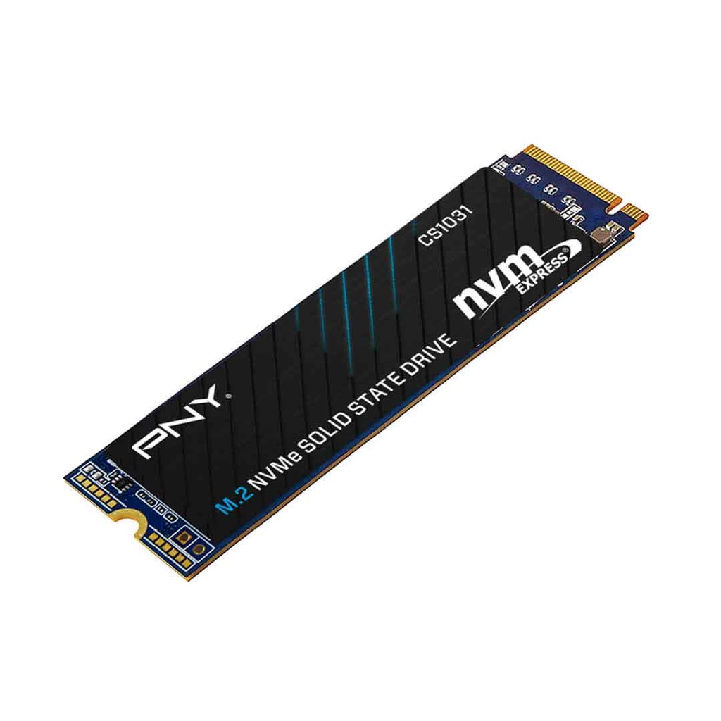 PNY 256GB M.2 NVMe Gen3 SSD (CS1031)